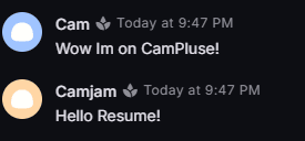 CamPulse project preview